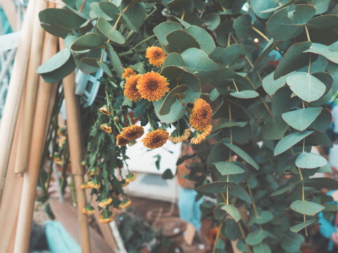 Boho Luxe Market - Adelaide - Lennox Head Accommodation 1