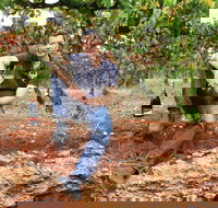 Cellar Dwellers Wine Dinner - Lennox Head Accommodation