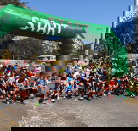 Coffs Harbour Running Festival - Lennox Head Accommodation