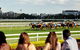 Cup Day - thumb 1