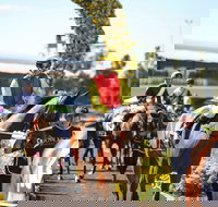 De Bortoli Wines Golden Rose Day - Lennox Head Accommodation