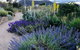 Highfield Gardens - thumb 0