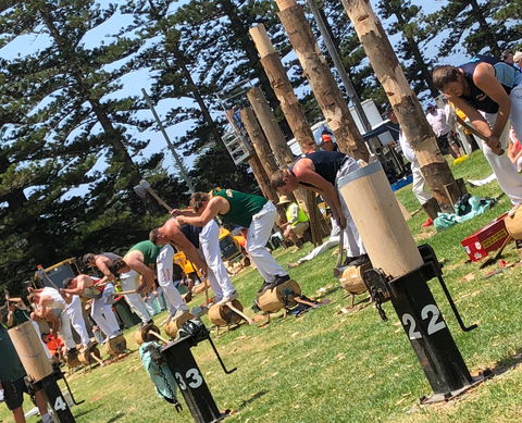 Kiama Show - Lennox Head Accommodation 1