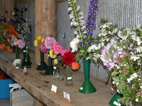 Neville Show - Lennox Head Accommodation 0