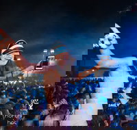 North Gong New Year's Eve - Lennox Head Accommodation