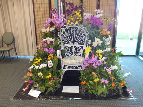 Orchids Out West - Lennox Head Accommodation 0