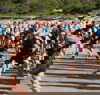 Port Stephens Triathlon Festival - Lennox Head Accommodation