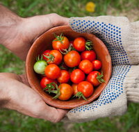 Riverina Producers Market - Lennox Head Accommodation