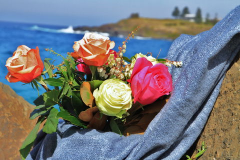 Roses By The Seaside: National Rose Championships And Conference - Lennox Head Accommodation 0