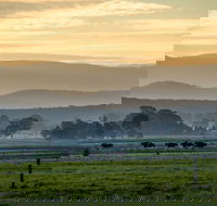 Rotary Club of Maffra Community Market - Lennox Head Accommodation