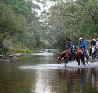 The Man From Snowy River Bush Festival - Lennox Head Accommodation