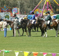 Wangaratta Show - Lennox Head Accommodation