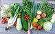 Wingham Farmers Market - thumb 0