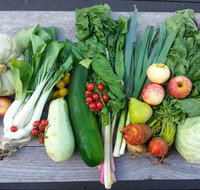 Wingham Farmers Market - Lennox Head Accommodation