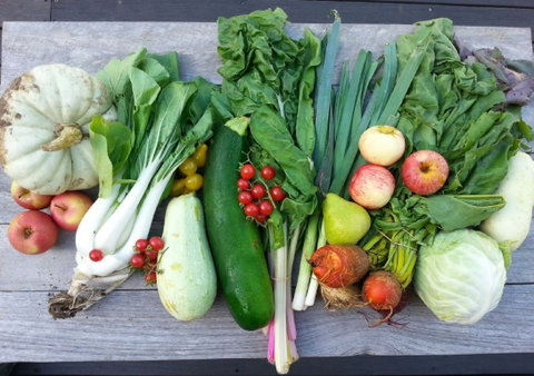 Wingham Farmers Market - Lennox Head Accommodation 0
