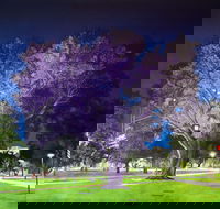 Adelaide Parklands Art Prize  Finalists Exhibition  Sale 2020 - Lennox Head Accommodation