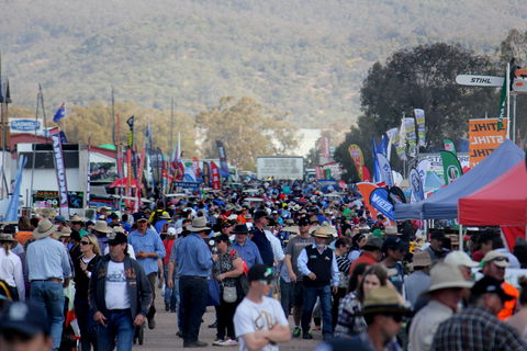 AgQuip - Lennox Head Accommodation 1