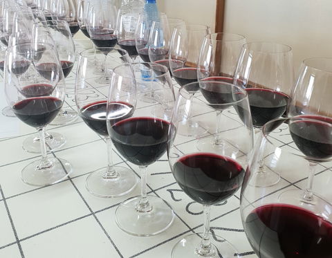 Australian Cool Climate Wine Show - Lennox Head Accommodation 1