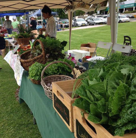 Bermagui Growers Market - Lennox Head Accommodation 5