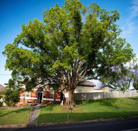Big Bat Wildlife and Eco Festival - Lennox Head Accommodation
