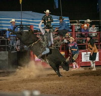 Black Opal Bull and Bronc Ride - Lennox Head Accommodation