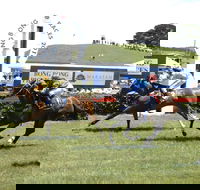 Bong Bong Picnic Races - Lennox Head Accommodation