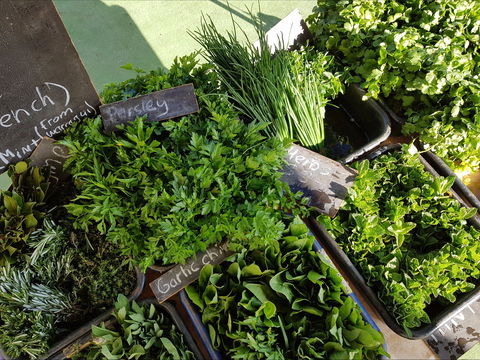 Carlton Farmers' Market - Lennox Head Accommodation 2
