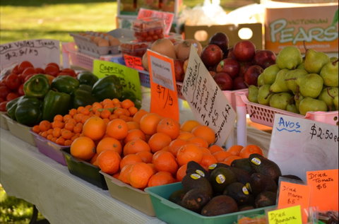 Centenary Park Charity Markets - Lennox Head Accommodation 0