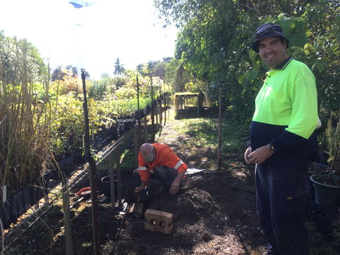 Conservation Volunteers Australia Townsville - Ocean View Nursery - Lennox Head Accommodation 1