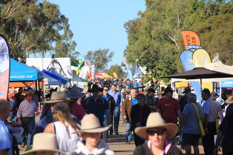 CRT FarmFest - Lennox Head Accommodation 1