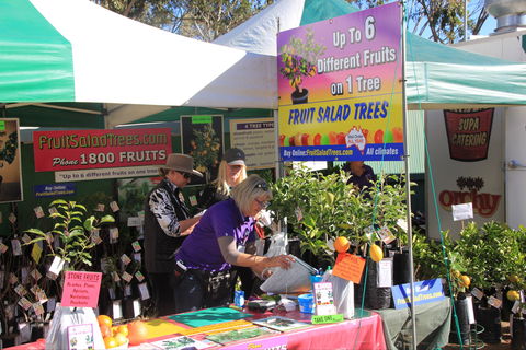 CRT FarmFest - Lennox Head Accommodation 2