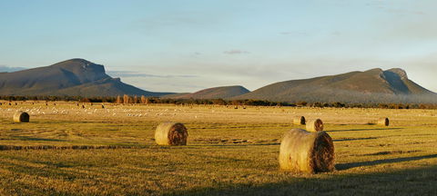 Digital Innovation & Smart Agriculture 2021 Festival - Lennox Head Accommodation 1