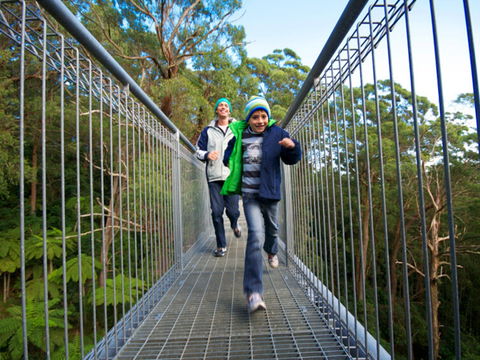 Get Back To Nature These July School Holidays! - Lennox Head Accommodation 0