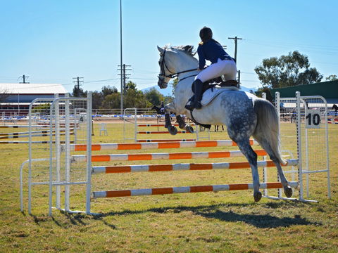 Gunnedah Showjumping Festival - Lennox Head Accommodation 1