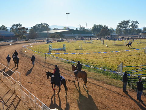 Gunnedah Showjumping Festival - Lennox Head Accommodation 2