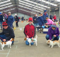 Hamilton Jack Russell Terrier and Hunting Dog Show - Lennox Head Accommodation