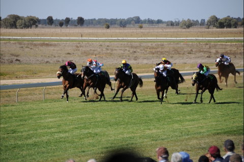 Jerilderie Gold Cup Races - Lennox Head Accommodation 0