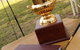 Jerilderie Gold Cup Races - thumb 1