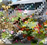 Johns River Country Markets - Lennox Head Accommodation