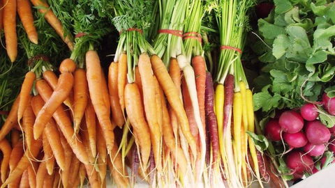 Joondalup Growers Market - Lennox Head Accommodation 0