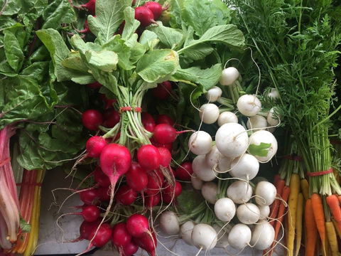 Joondalup Growers Market - Lennox Head Accommodation 1