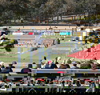 JumpingWillinga - Lennox Head Accommodation