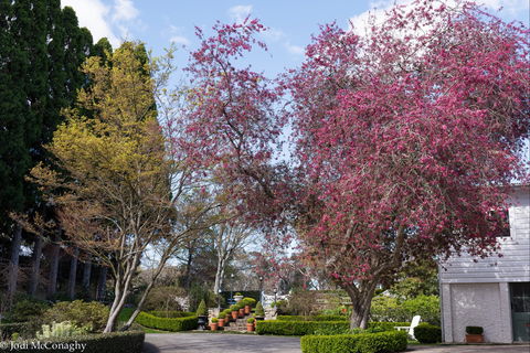 Leura Gardens Festival - Cancelled - Lennox Head Accommodation 0