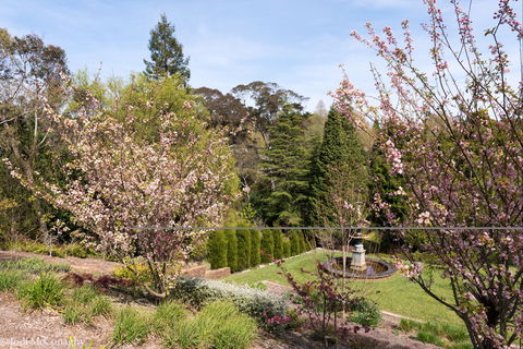Leura Gardens Festival - Cancelled - Lennox Head Accommodation 2
