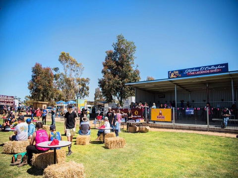 Mathoura Speed Shear And Annual Cancer Fundraiser - Lennox Head Accommodation 0