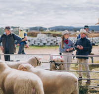 Mudgee Small Farm Field Days - Lennox Head Accommodation