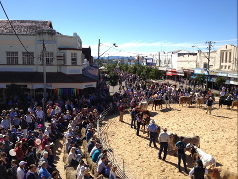 NCMC Casino Beef Week - Lennox Head Accommodation 0