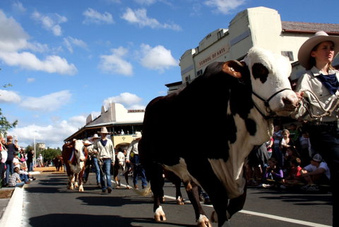 NCMC Casino Beef Week - Lennox Head Accommodation 1