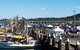 Ocean Harvest Festival - thumb 0