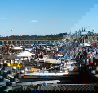 Ocean Harvest Festival - Lennox Head Accommodation